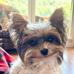 Debi Willis - @willis.debi - Instagram