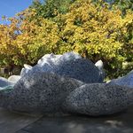 Debi Willis - @catourguide - Instagram