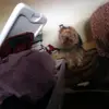 Deborab Allen - @deborab.allen - TikTok