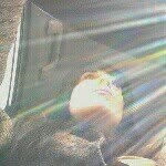 Debora - @rmit2014_light_deborabarton - Instagram