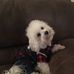 Debora Burch - Facebook