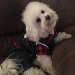 Debora Burch - @deboraburch - Instagram