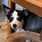 Deborah Burton - @deborahburton67 - Instagram