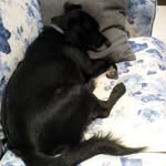 Debora Carbone - @carbonedebora74 - Instagram