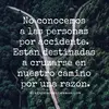 Debora Carrillo - @allondra1 - TikTok