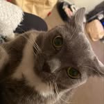 @deborah.cassidy282 - Instagram