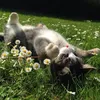 Deborah.Combs - @deborahcombsnpsqdba - TikTok
