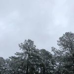 Lisa Cole - @deborah.conner.560272 - Instagram