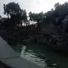 Debora Cortes - @debora.cortes545 - TikTok