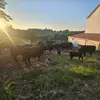 Deborah Craig - @deborah.craig0 - TikTok