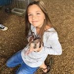 Debbie Pusser Dill - @deborah.dill.792 - Instagram