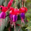 deborahdill671 - @deborahdill671 - TikTok