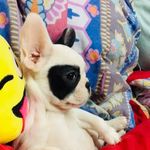 Debora Dominguez - @debora.dominguez.5473 - Instagram