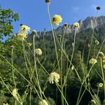 Debora Engel - @engel_debora - Instagram
