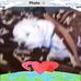 Debora Farrell - Facebook