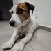 Debora Ferrante - Facebook