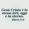 Debora - @deborafiore38 - TikTok