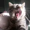 deborafiore19569 - @deborafiore19569 - TikTok