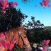Debora Fleming - Facebook
