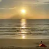 deborahfleming312 - @deborahfleming312 - TikTok