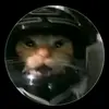 Debora Flores - @debora.flores88 - TikTok