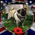 Deborah Forbes - Facebook