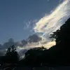 DeborahFox - @deborahfoxioyhfny - TikTok