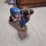 Deborah Luster Franks - @deborah_franks - Instagram
