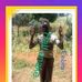 Frank Deh Rank - Facebook
