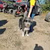 Deborah Freeman - @deborah.freeman39 - TikTok