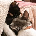 Débora y Freyja - @deborafreyja - Instagram