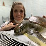 Debora Fuchs Veterinária - @deborafuchs.vet - Instagram