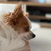 DeboraXfuchs - @deboraxfuchs - TikTok