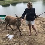 Debbie Robinson Gardner - @deborah.gardner.188 - Instagram