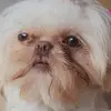 deborahgardner849 - @deborahgardner849 - TikTok