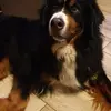 Debora Gasparinetti - @deboragasparinetti - TikTok
