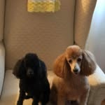Deborah Gerber - @deborah.gerber.3551 - Instagram
