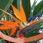 Deborah A Giles - @deborah.giles.14 - Instagram