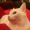 Debora Giunta - @deb_3.0 - TikTok