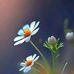 Debora Gonzalez - Facebook