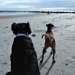 Deborah Goodwin - @deborah.goodwin.14 - Instagram