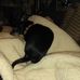 Deborah Graff - Facebook