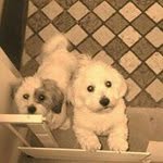 Deborah Graham - @deborah.graham.758 - Instagram