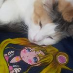 Debora Gregorio - @koneko_creations - Instagram