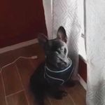 Deborah Grimes - @deborah.grimes.12 - Instagram