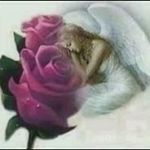 Debora Heidebrink Grimmius - @deboragrimmius - Instagram