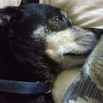 Deborah Haas - @deborah.haas.142 - Instagram