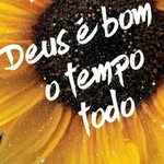 Débora Hahn De Freitas - @debora.freitas145 - Instagram