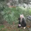 Deborah Hanson - @deborah.hanson25 - TikTok