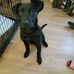 Deborah Hicks - Facebook